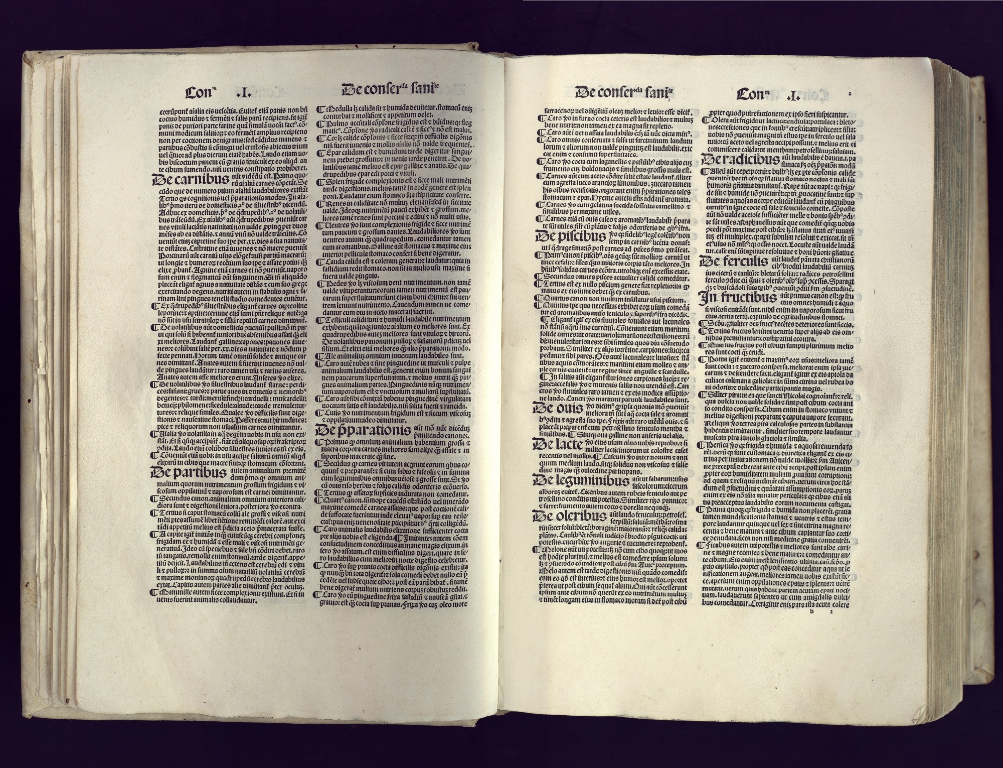 Bartholomei Montagnane medici clarissimi Consiliorum aggregatio de egritudinibus tam communibus quam particularibus a capite usque ad pedes: et de conseruanda sanitate feliciter incipit Impressum est Venetijs : per Simonem de Luere : impensis diui Andree 